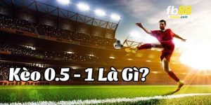 Kèo 0.5/1 - Hướng Dẫn Cách Soi Kèo Dành Mới Nhất 2024