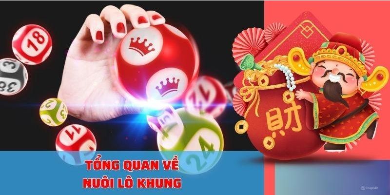 Nét chính về nuôi lô khung chuẩn xác